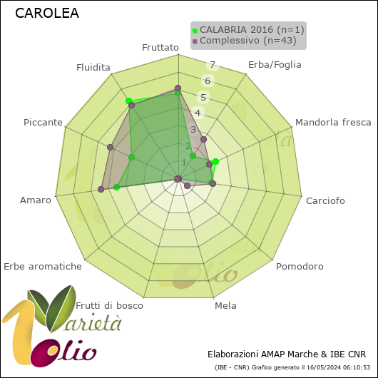 Profilo sensoriale medio della cultivar  CALABRIA 2016